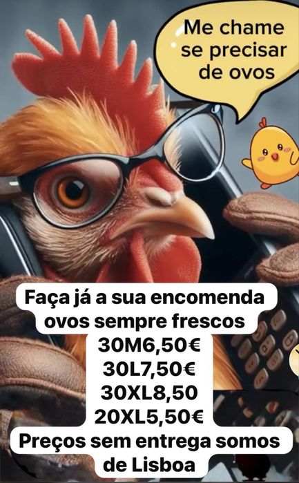 Ovos frescos todas as semanas