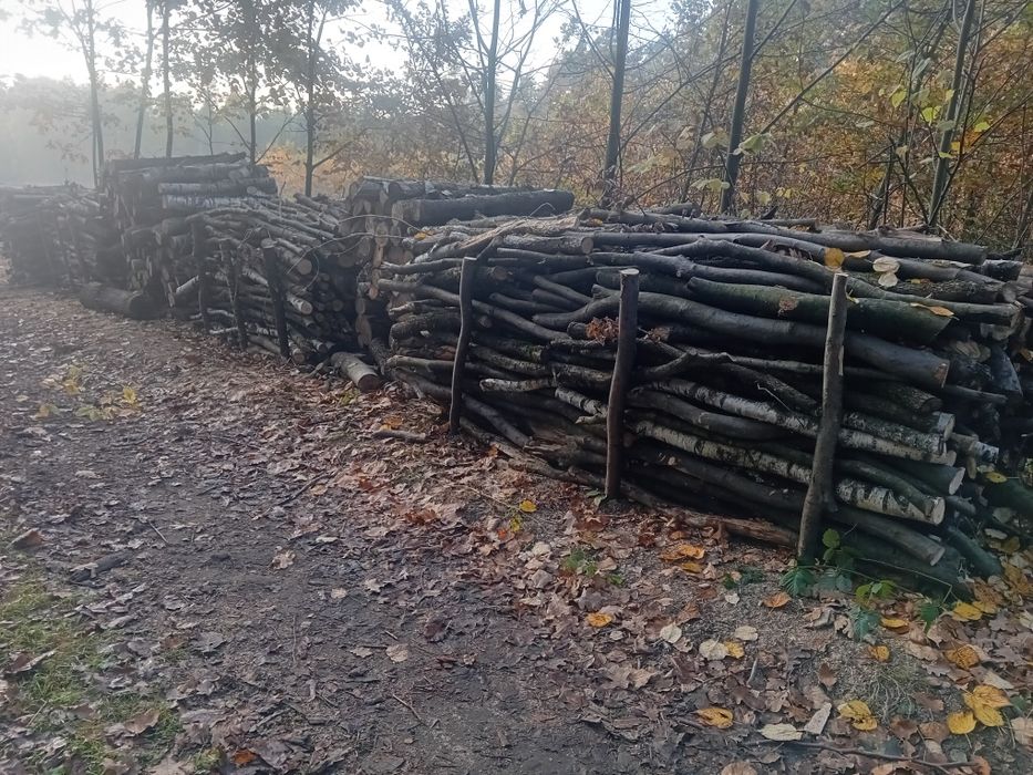 Drewno kominkowe,opałowe