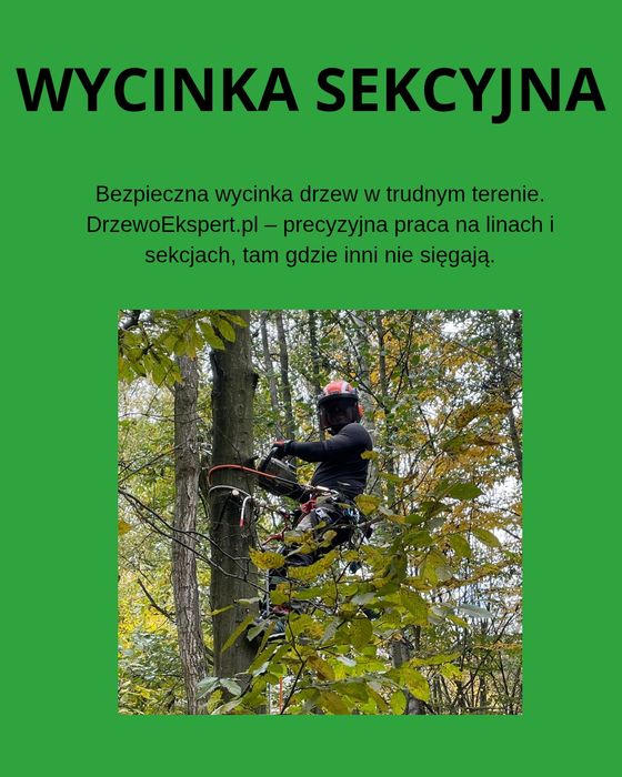 Wycinka drzew – sekcyjnie + pielęgnacja koron | Katowice i Śląsk