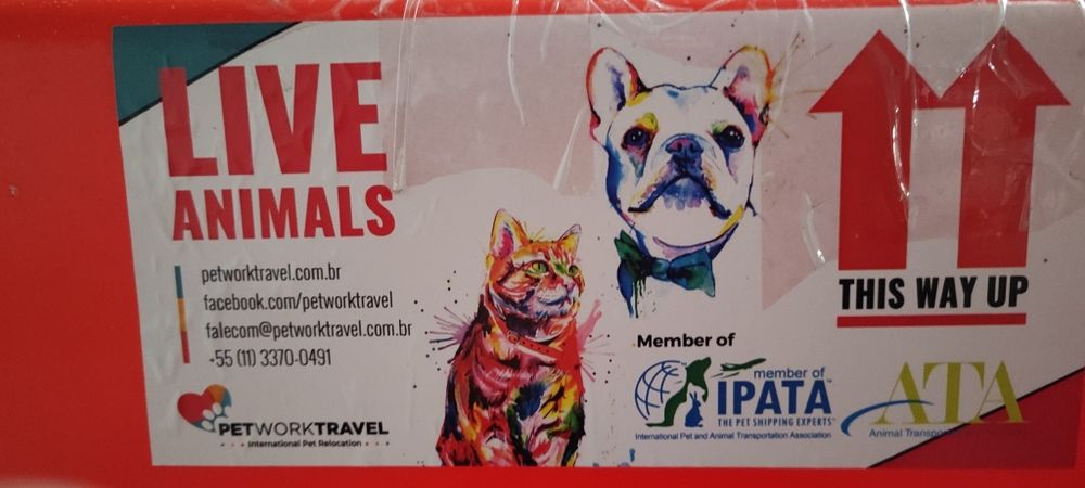 Caixa transporte PET Travel 300 Transporte IATA