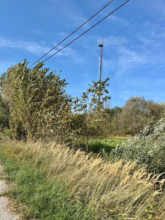 Продам майновий комплекс! Бабинці! 30 Га