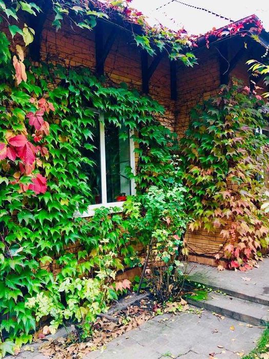 Будинок 180м, баня31м, 2 басейни,12соток, Переяслав, берег Дніпра, ліс