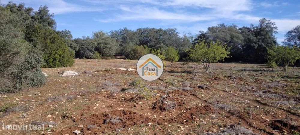 Terreno Rústico nos Arredores de São Brás de Alportel — Santa Bárbara de Nexe, Faro