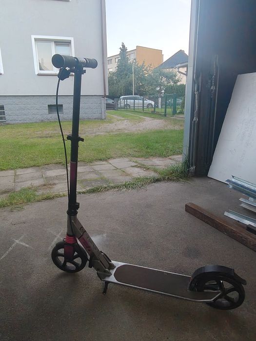 Hulajnogi zwykłe