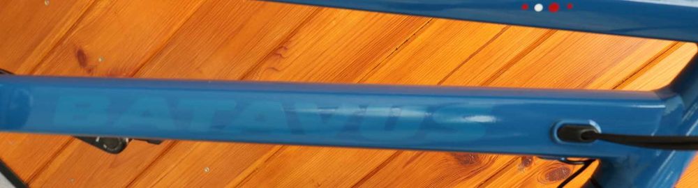 Rower damski Batavus Dins Dag D 53 inne rowery