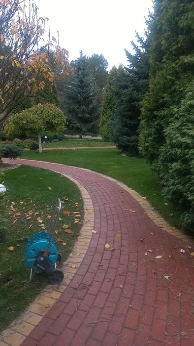 Стрижка газону,покос трави,догляд за ділянкою.