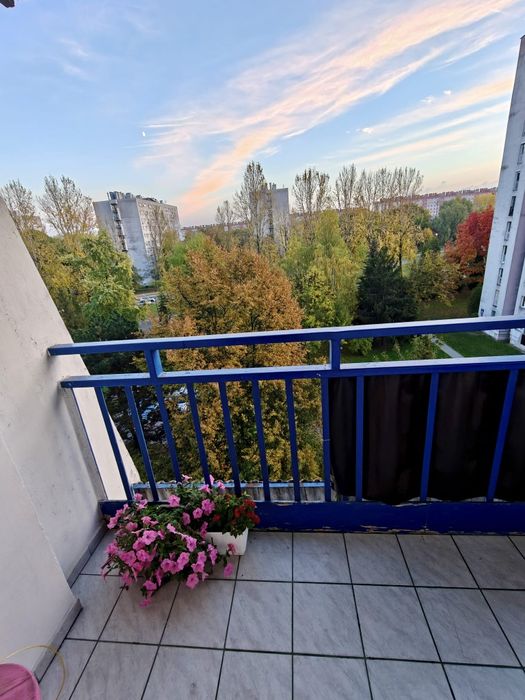 Mieszkanie – Kraków - Widok 2