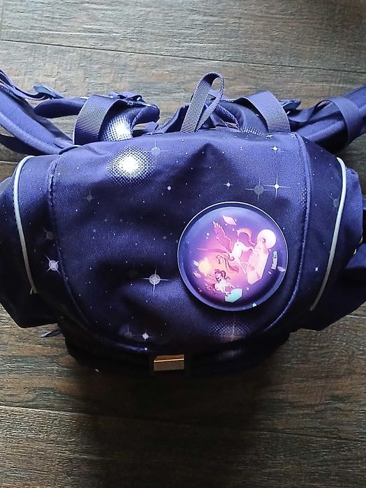 Ergobag plecak szkolny zestaw Beargasus - Zestaw ergonomiczny Ergobag