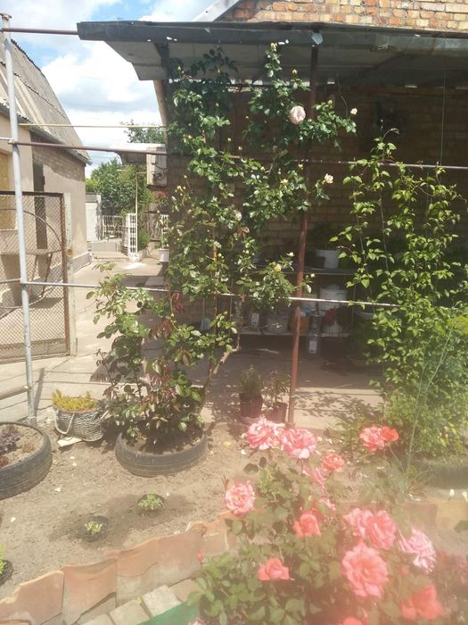 Дом  район Эпицентра