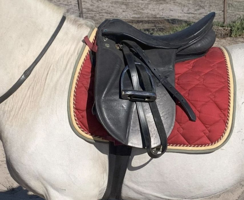 Sela de Dressage Stübben Colombo, usada em excelente estado