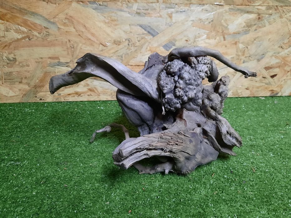 Korzeń do akwarium Red Moore Wood nr 1014 o wymiarach 31/20/20