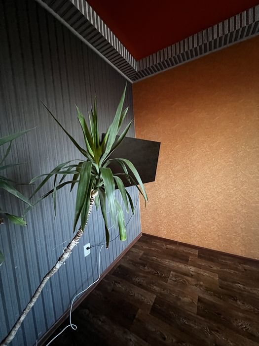 Сдам двухкомнатную квартиру