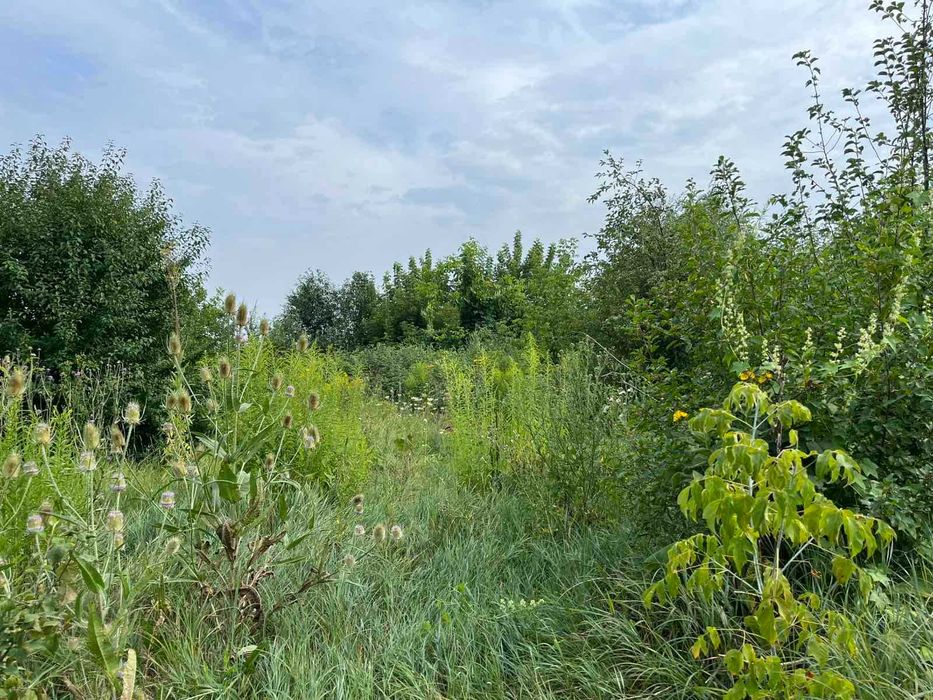 Продаж ділянку під забудову Підгірці