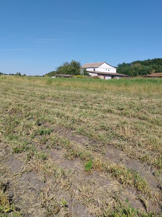 Продається садиба з землею і ставком