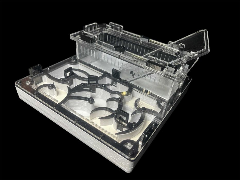 Купити мурашину ферму в Україні — формикарій з екзотичними мурахами