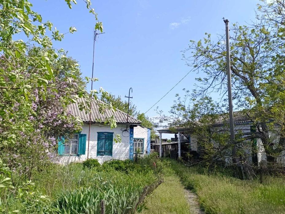 Продам будинок в смт Царичанка
