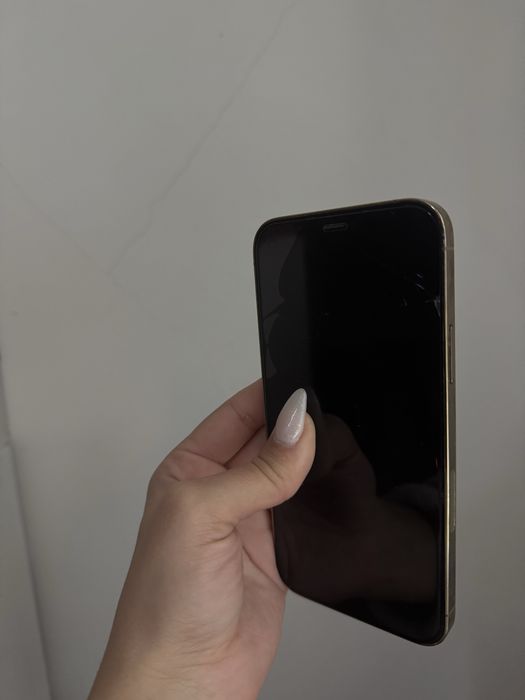 Iphone 12 Pro Pratic Novo