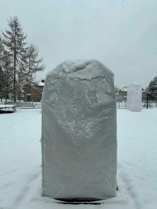 Kaptur ochronny rośliny egzotyczne Big Bag Premium 95x95x200cm
