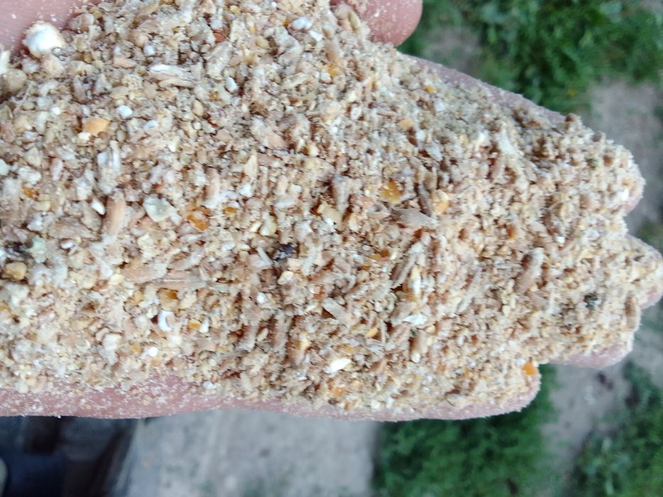 Pasza dla kur niosek 24kg za 55zl, wysyłka,gęsi, kaczek,brojlerów