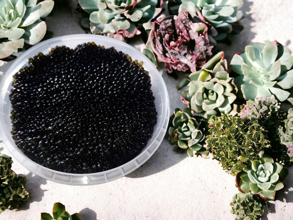 Икра набор из 5 видов