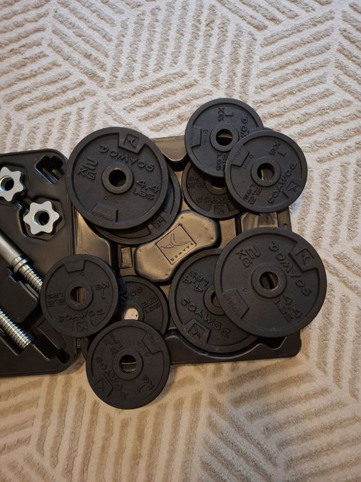 Kit Halteres 20kg + Roda Abdominal | Treino em Casa | 45€