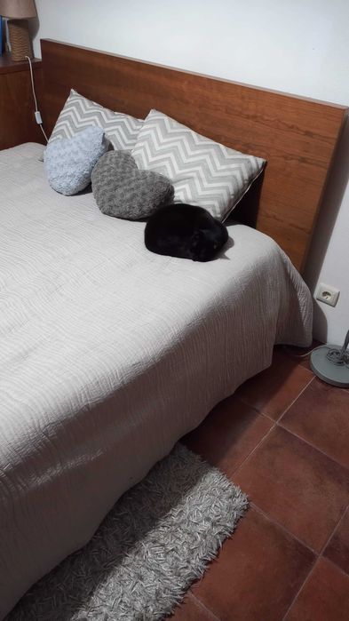 cama casal madeira cerejeira