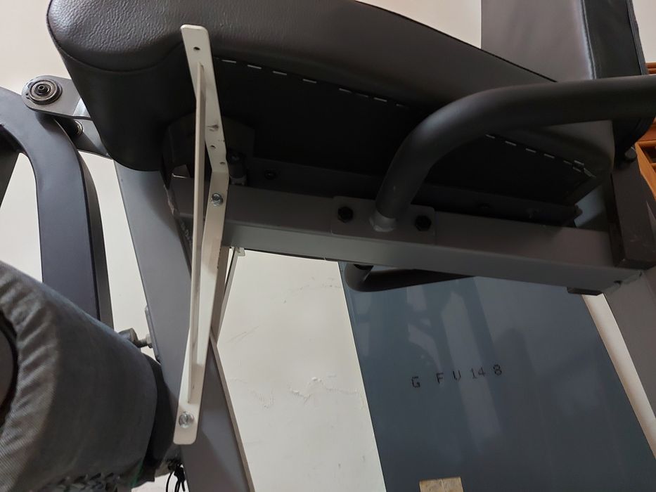 Cadeira de extensão e flexão