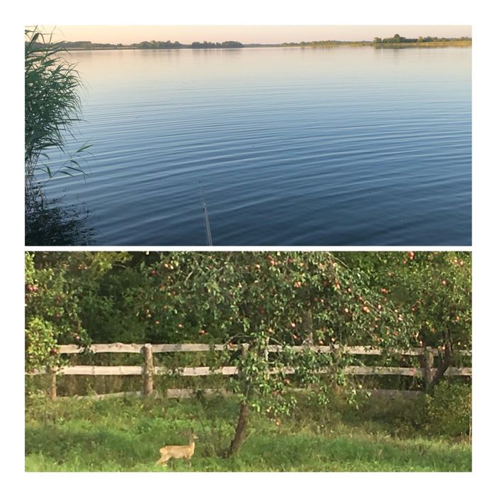 Dom nad jeziorem Mazury , basen, klimatyzacja, grill.