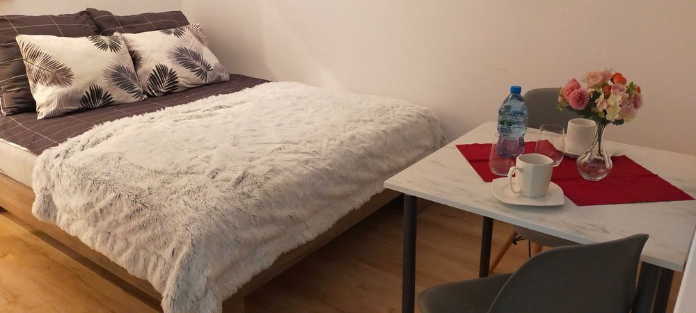 Apartament Studio wynajem Sosnowiec Kazimierz Górniczy