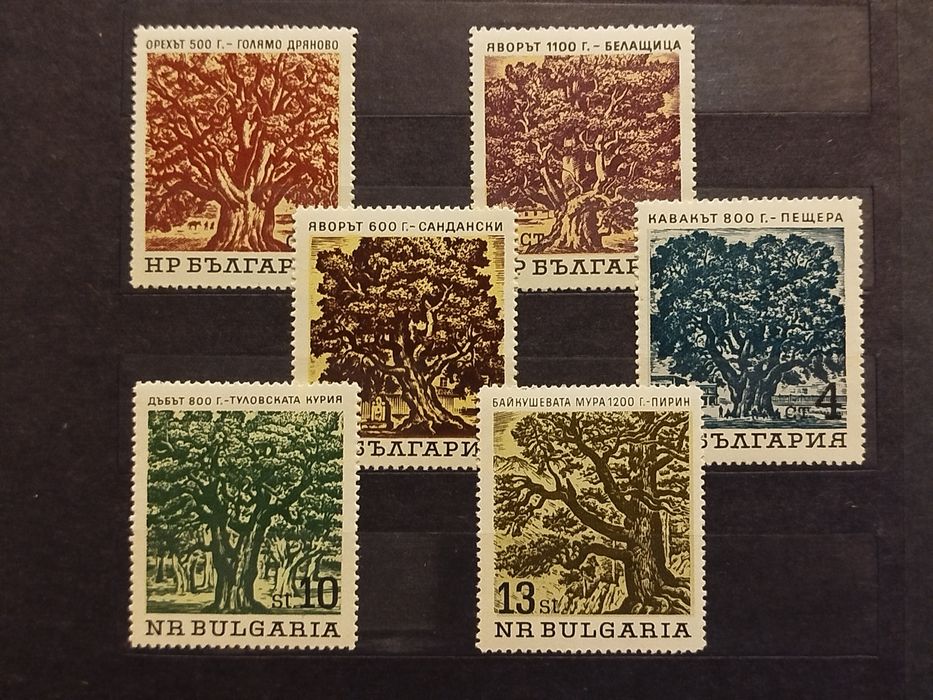 Znaczki Bułgaria 1964 flora