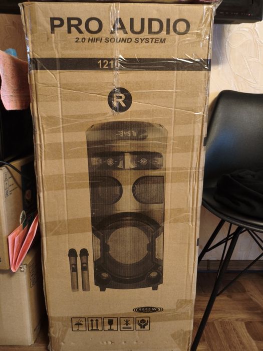 Парні колонки 2в1 акумулятор і мережа Pro Audio 1210