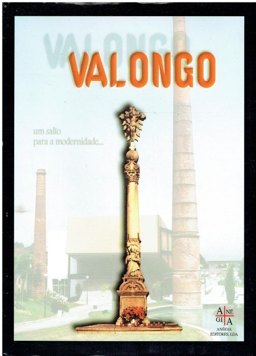 7480 - Monografias - Livros sobre a região de Valongo
