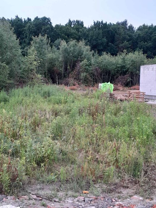 Продається земельна ділянка в с. Конопниця