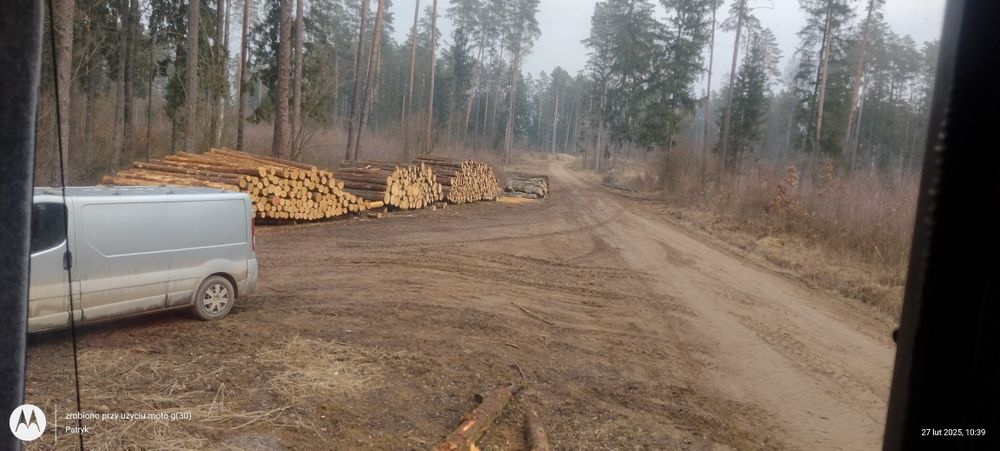 biomasa#wycinka  lasów#drzew#las#mulczowanie