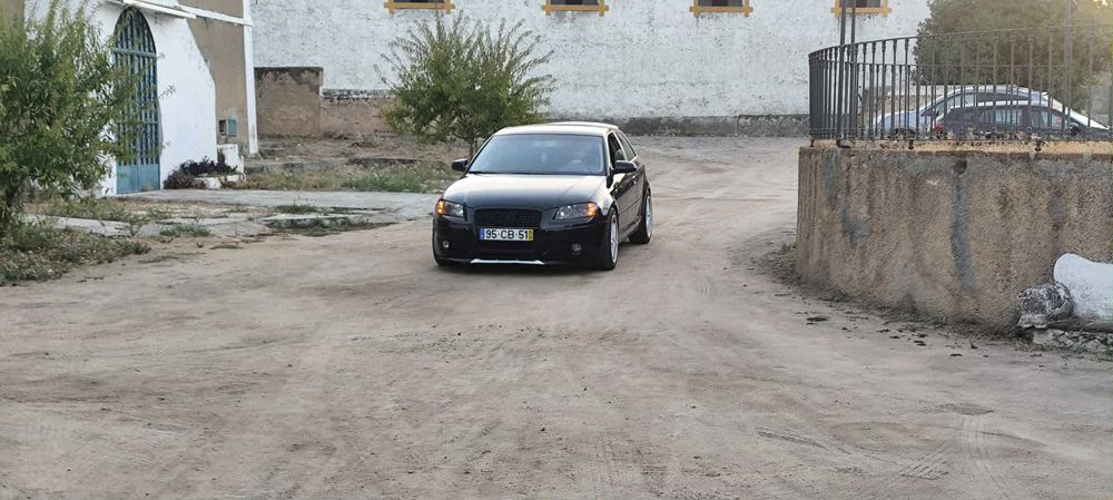Audi A3 8P 1.9 TDI