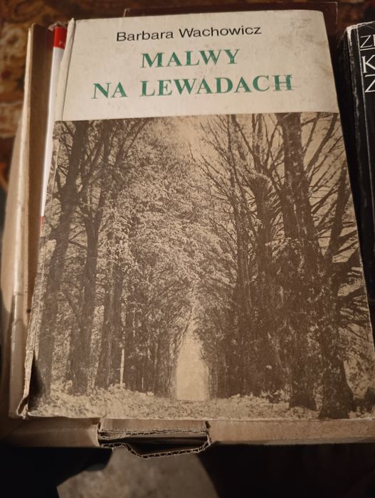 Malwy na Lewadach, Wachowicz
