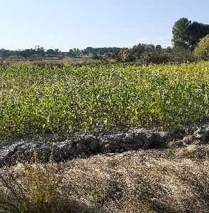 Vendo terreno  agrícola