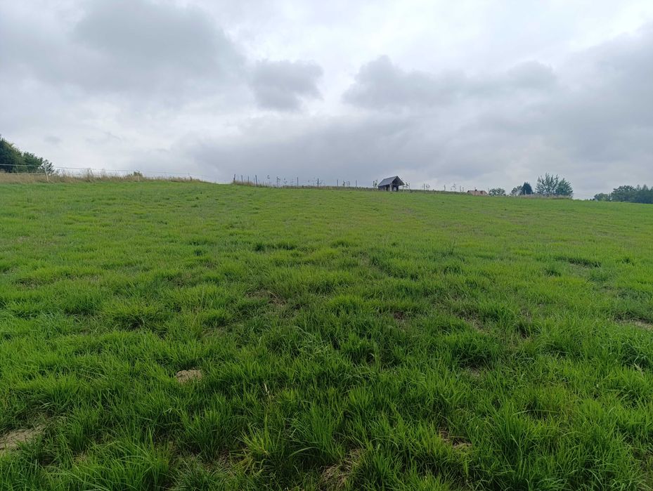 Działka rolna na sprzedaż 60 arów | spokojna okolica, blisko natury - Widok 4
