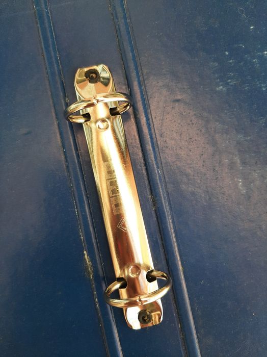 Dossier do Snoopy Woodstock