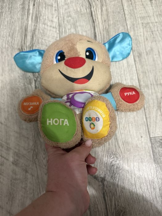 Розумне цуцення