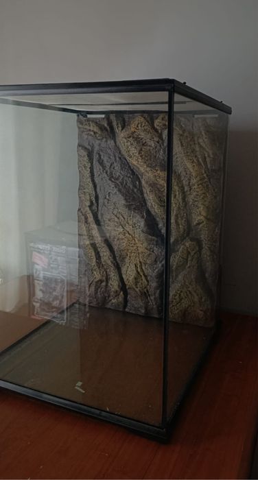 Terrario para repteis
