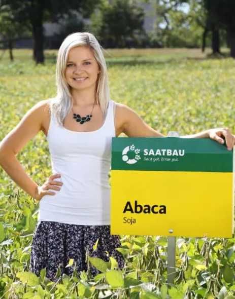 Nasiona Soi Acassa Abaca Abelina Aurelia zaprawione zaszczepione