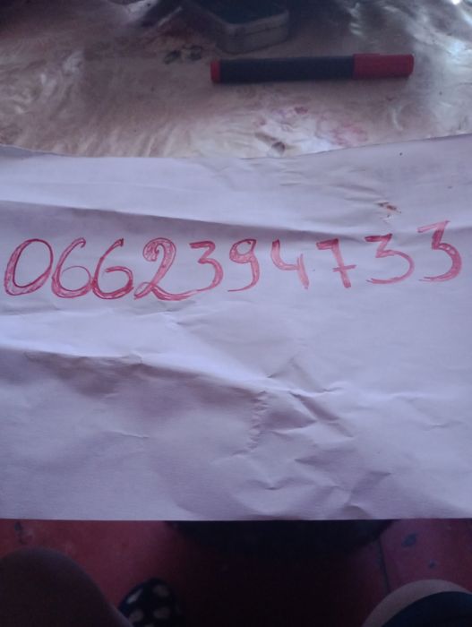 Продам щенков ши-тцу