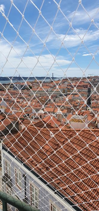 Rede de Proteção para Gatos