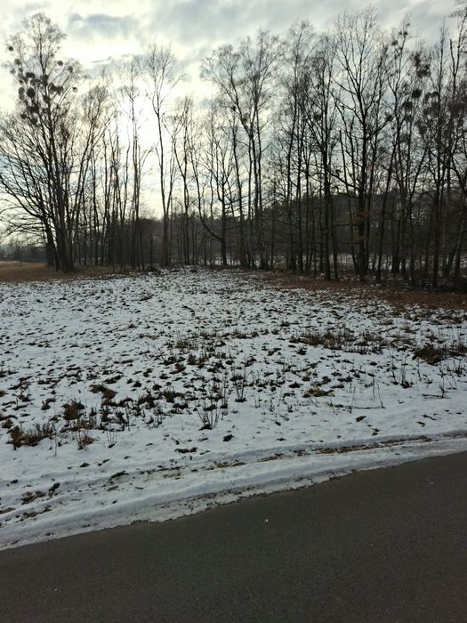 Działka budowlana w Ożarowicach ul. Zawodą