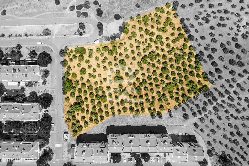 Terreno de 15335m² c/ Viabilidade de construção | Elvas