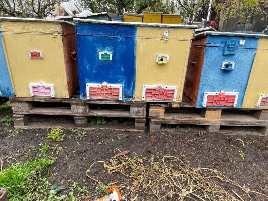 Продам улья для пчел