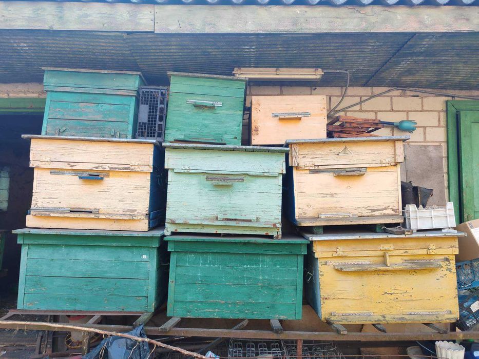 Продам дерев'яні вулики