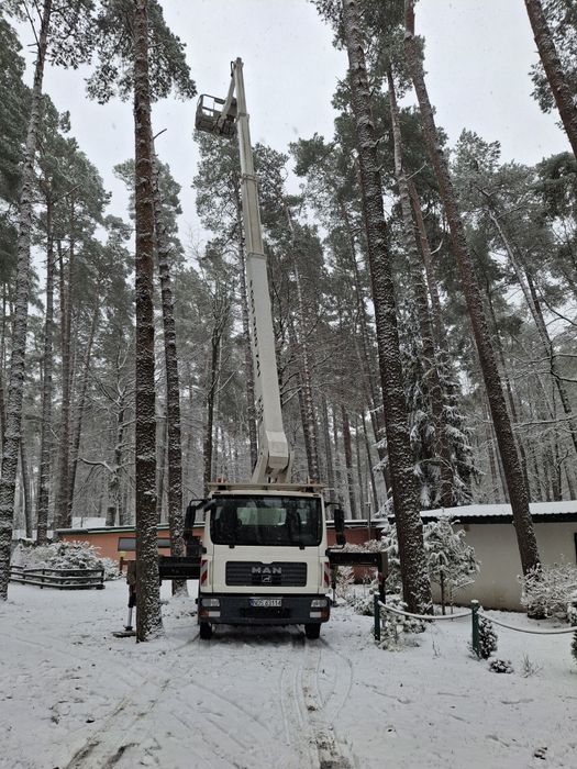 Usługi podnośnikiem koszowym do 30m