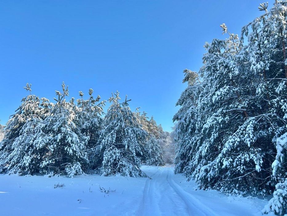 Земельна ділянка 26 Га! Марʼянівка !